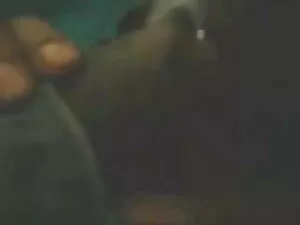 BBW Talisa ब्राउन बे ...