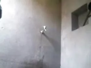 हॉट बिलियर्ड भोजपुरी ...