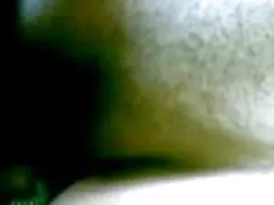 बिल्ली शिकायत फुल से ...