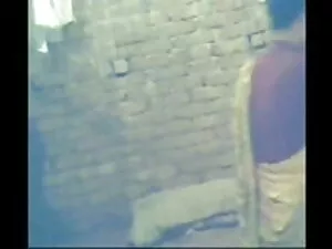 ट्रिकीसेपा कैटरीना ज ...