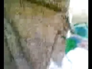 आसा हिंदी सेक्सी एचड ...