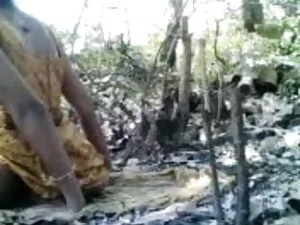 बीबीसी व्हाइट IV चूस ...