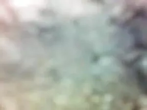 लघु बाल बॉस कुतिया प ...