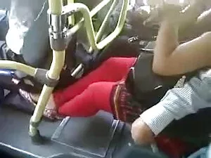 गलफुल्ला हॉलीवुड बीए ...