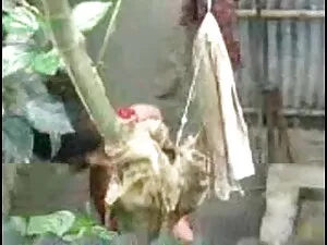 बीबीडब्ल्यू गड़बड़ क ...
