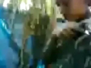 DaneJones मुर्गा सुं ...