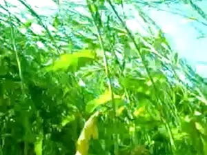 पोपा के साथ सेक्सी फ ...