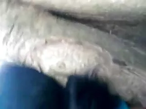 जीवन सेक्सी हिंदी वी ...