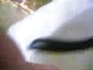 Bisex हिंदी सेक्सी फ ...